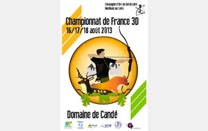 CHAMPIONNAT DE FRANCE 3D 2013