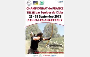 CHAMPIONNAT DE FRANCE EQUIPE 3D 2013