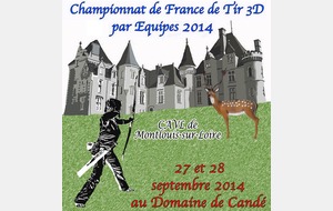CHAMPIONNAT DE FRANCE EQUIPE 3D 2014