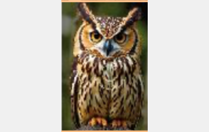 CONCOURS NATURE AVRIL 2026