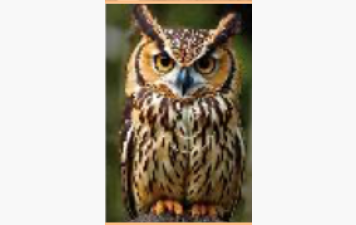 CONCOURS NATURE AVRIL 2026